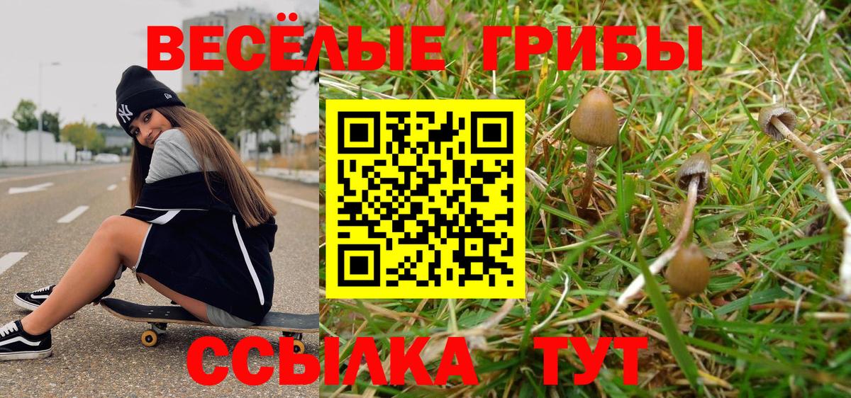 Ртищево  Псилоцибиновые грибы прущие грибы  Вход с VPN 
